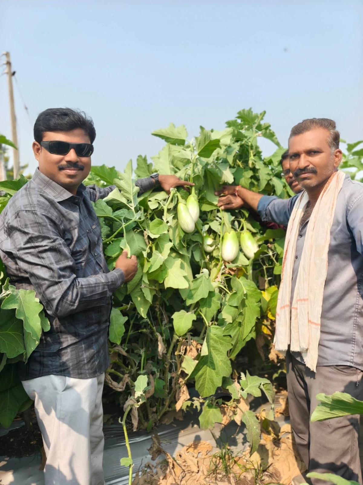 Ramesh patil